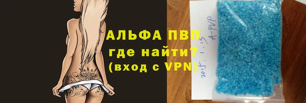 прущие грибы Абаза