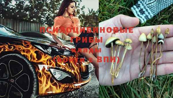 jwh Алексеевка
